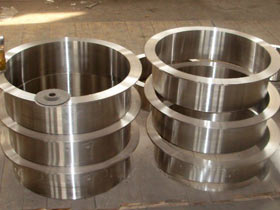 MD Expots LLP Flanges Godown