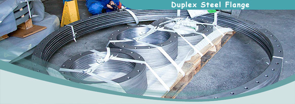 Duplex Stainless Steel Fittings & Flanges Manufacturers